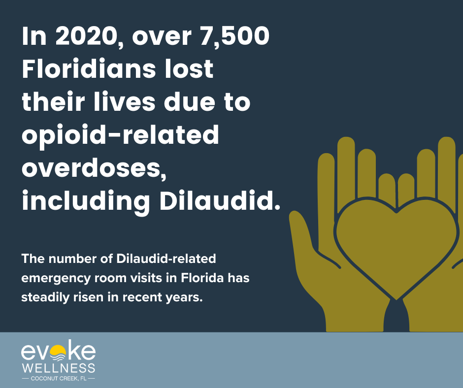 Dilaudid stats for Florida graphic