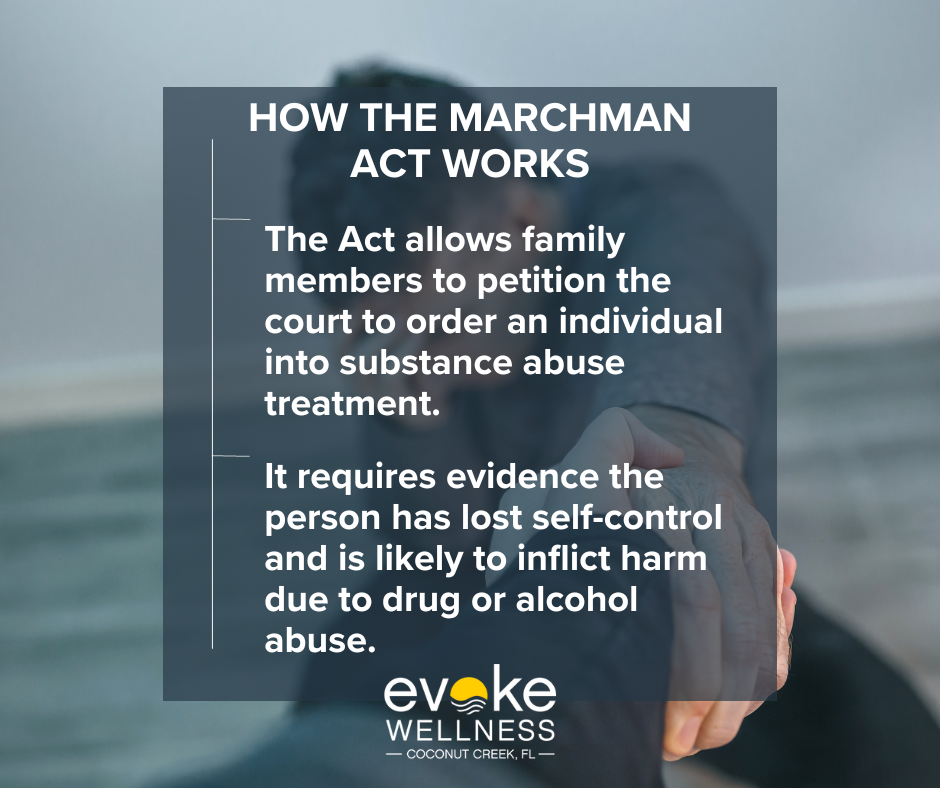 Marchman Act internal graphic facts