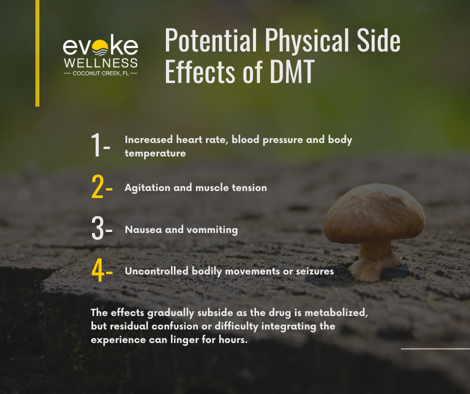 DMT effects graphic