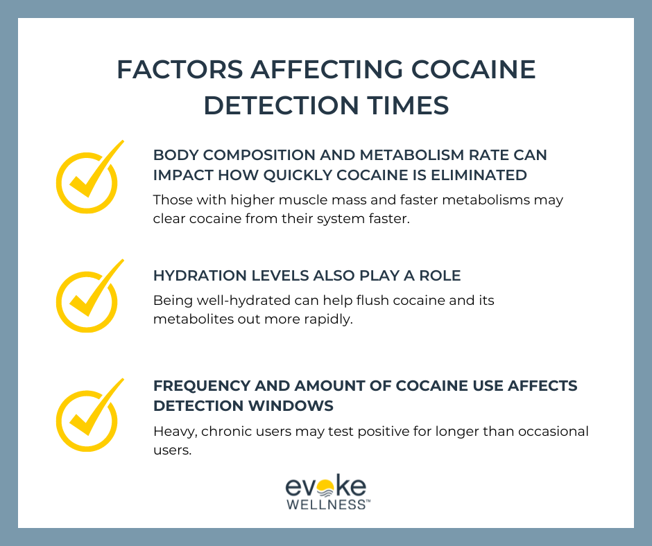 Factors That May Affect Cocaine Detection Times