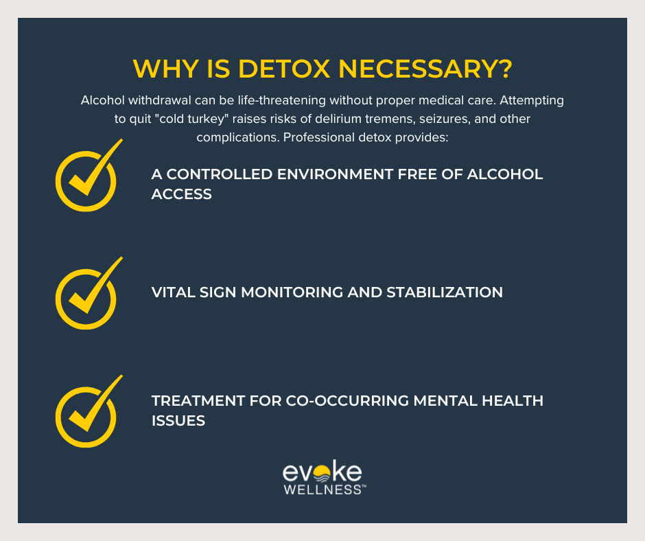 What is Alcohol Detox